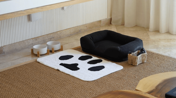 dog bed and accessories are setup in fairmont hotel room